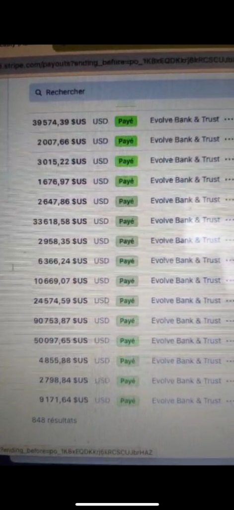 Stripe payment history - Payouts completed