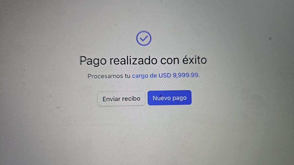 Successful payment - Charge processed